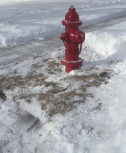 Fire Hydrant